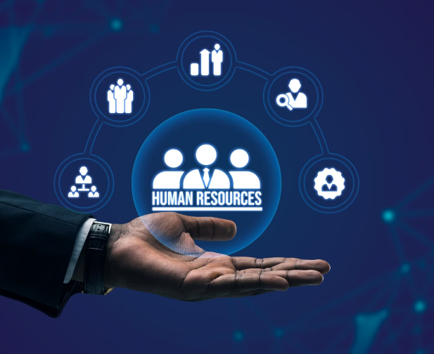 Why Choose EZ Web Design for Your Affordable HR Management System?